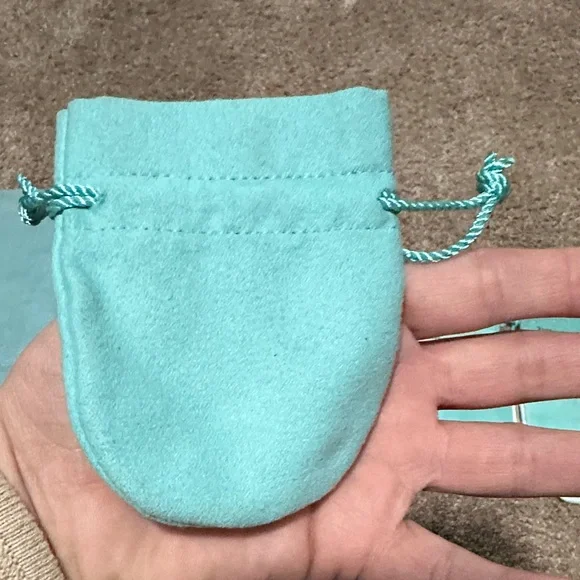 Tiffany & Co. Turquoise Pouch Collection - Picture 8 of 16